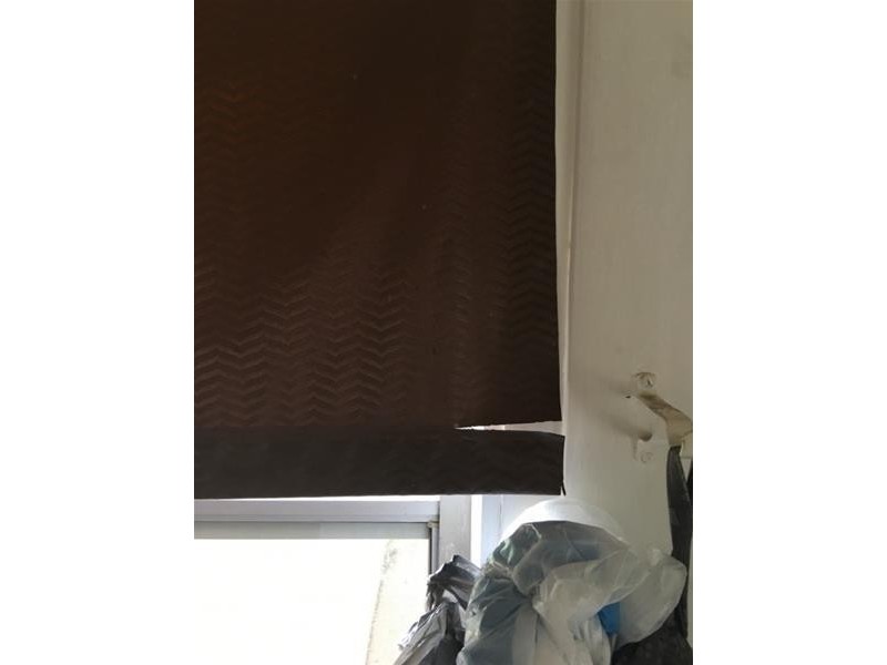 38 Brooks Street, Telarah NSW 2320