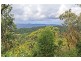 700 Duns Creek Road, Duns Creek NSW 2321