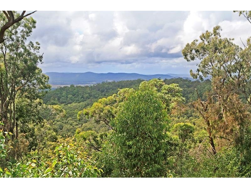 700 Duns Creek Road, Duns Creek NSW 2321