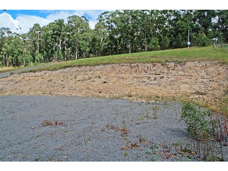 700 Duns Creek Road, Duns Creek NSW 2321