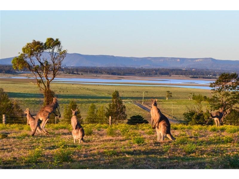 71 Owlpen Lane, Farley NSW 2320