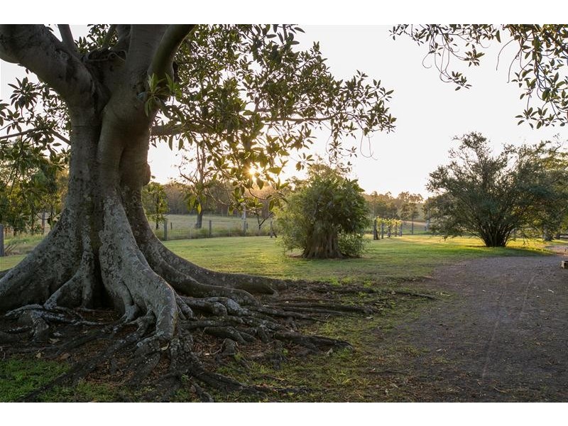 71 Owlpen Lane, Farley NSW 2320