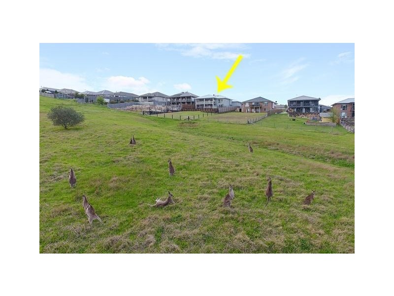 133 Bolwarra Park Drive, Bolwarra Heights NSW 2320