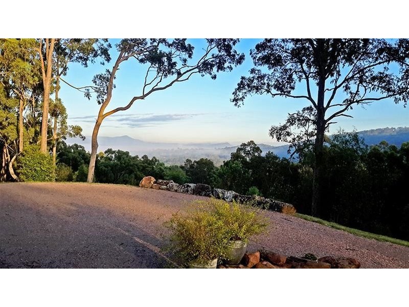 151  Keppies Lane, Paterson NSW 2421