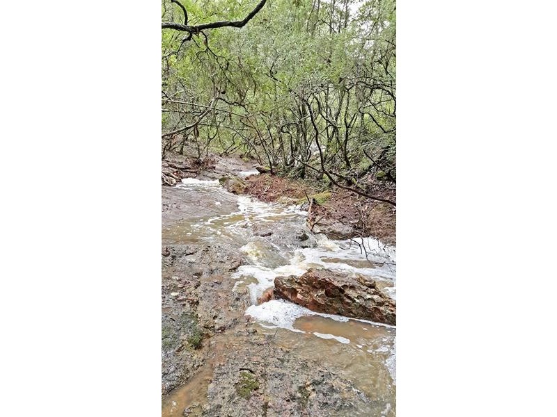 151  Keppies Lane, Paterson NSW 2421