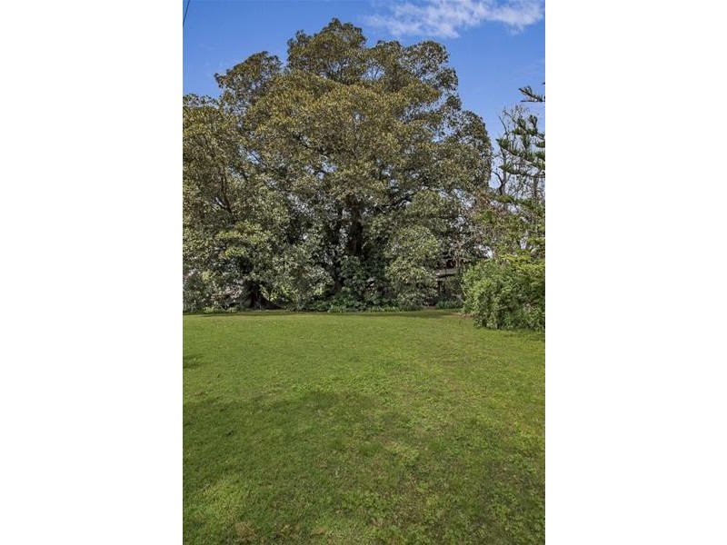 16 Ballard Street, Maitland NSW 2320