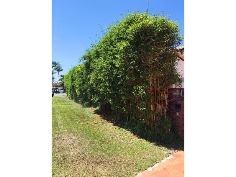 5 Buccaneer Court, Paradise Waters QLD 4217