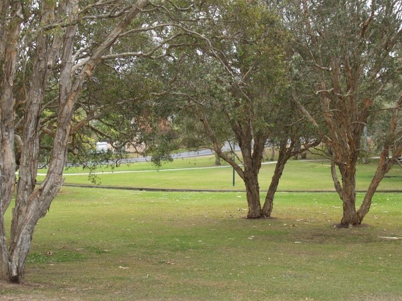 86 Kindra Avenue, Southport QLD 4215