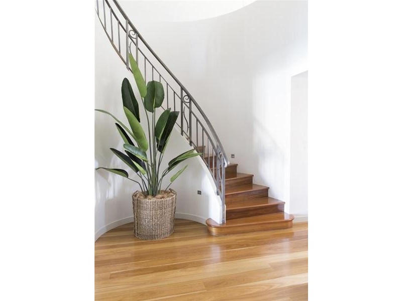 14 Seafarer Court, Paradise Waters QLD 4217