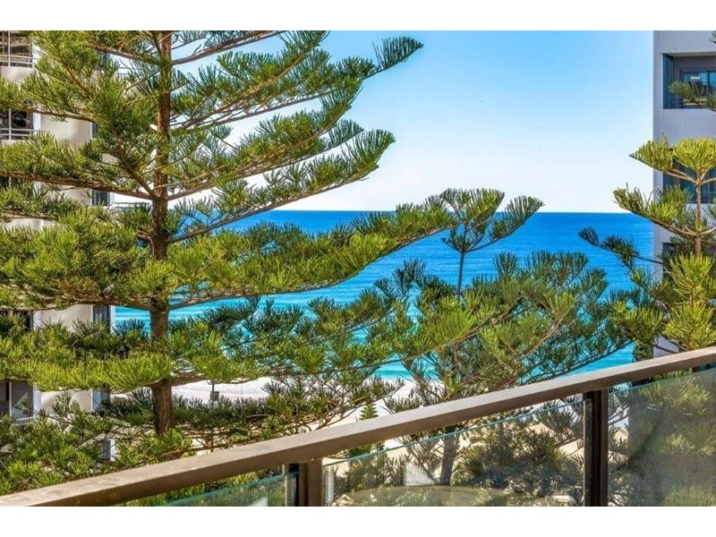 804/3 Orchid Avenue, Surfers Paradise QLD 4217