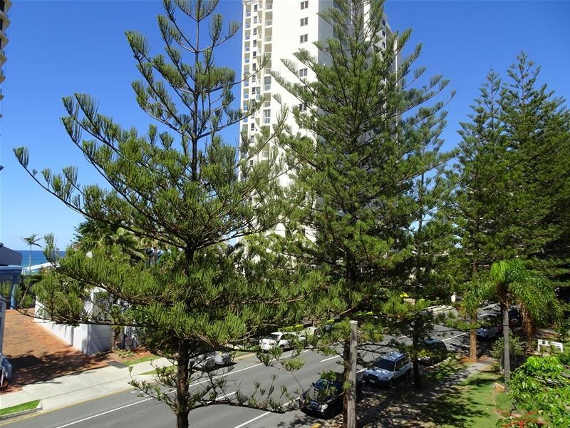 61-63  Old Burleigh Road, Surfers Paradise QLD 4217