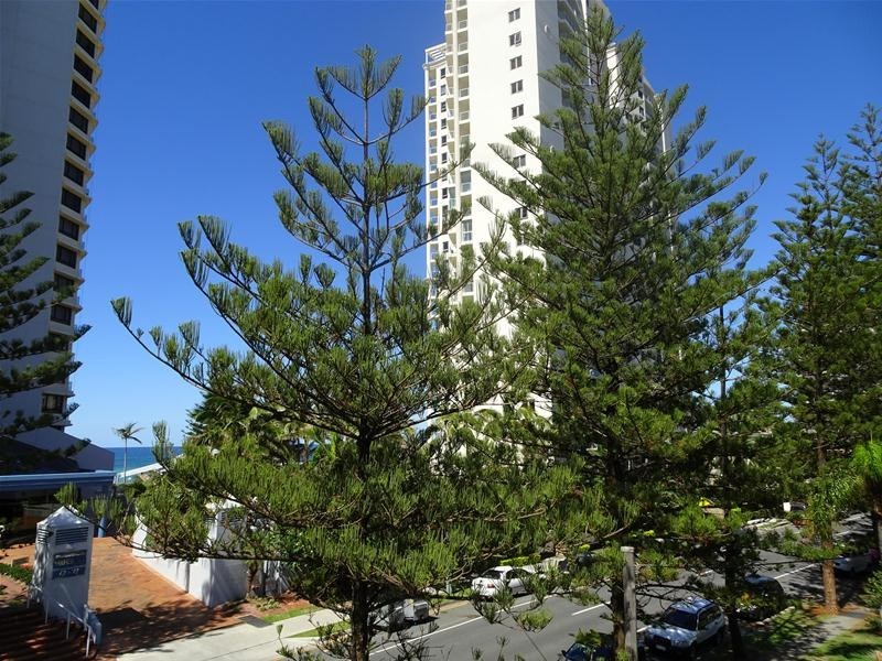 61-63  Old Burleigh Road, Surfers Paradise QLD 4217