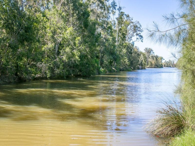 91 Yodelay Street, Varsity Lakes QLD 4227