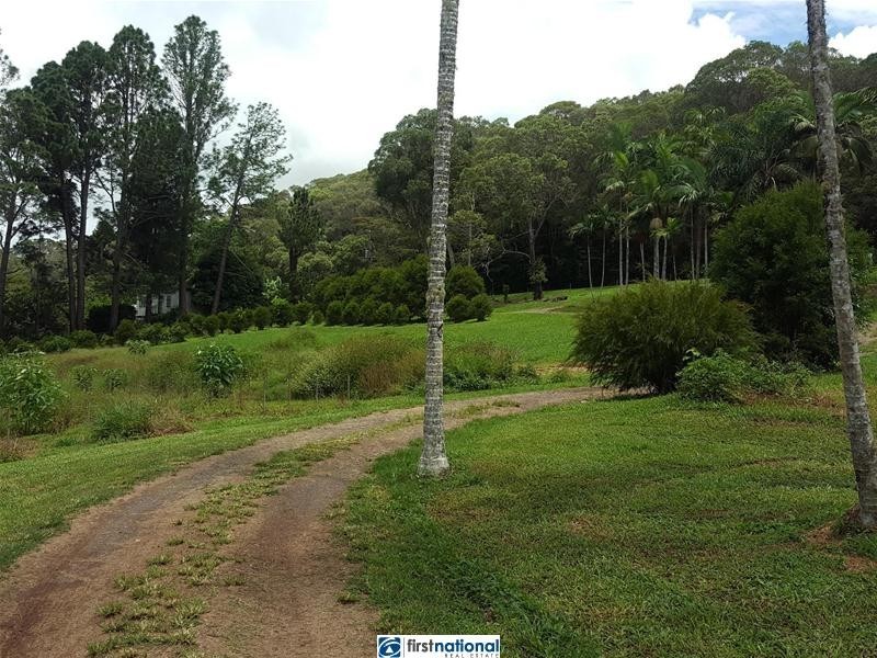 Lake Eacham QLD 4884