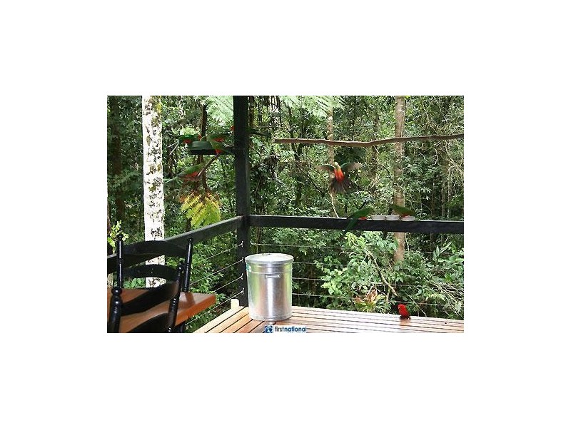 1 Eacham Close, Lake Eacham QLD 4884