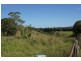 227 Theresa Creek Road, Millaa Millaa QLD 4886