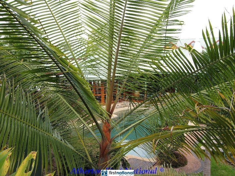 Tinaroo QLD 4872