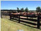 210 Pheasant Road, Millaa Millaa QLD 4886