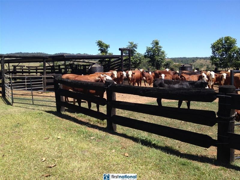 210 Pheasant Road, Millaa Millaa QLD 4886