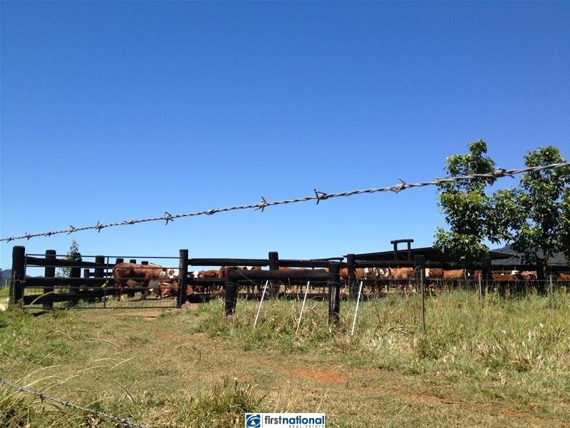 210 Pheasant Road, Millaa Millaa QLD 4886