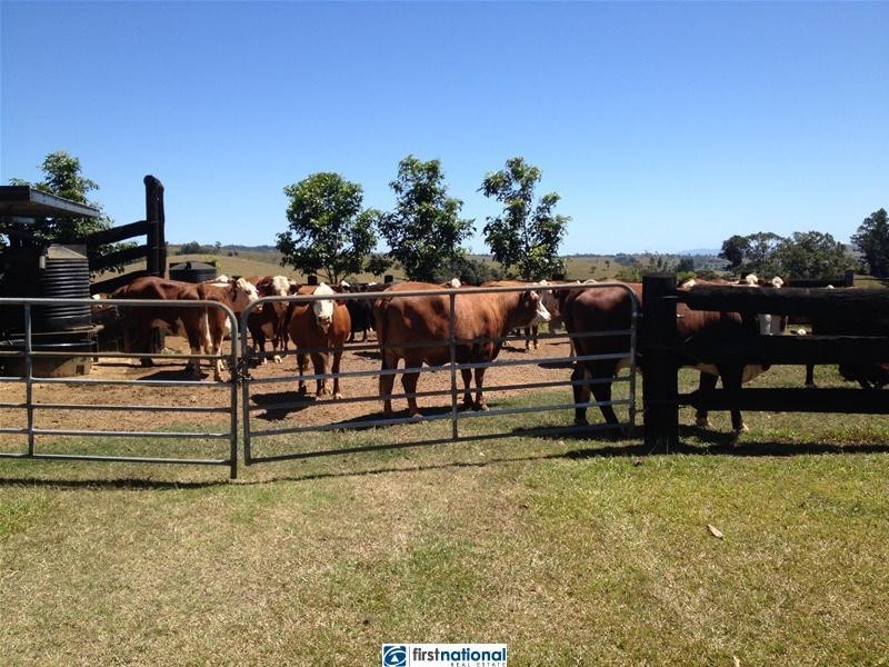 210 Pheasant Road, Millaa Millaa QLD 4886