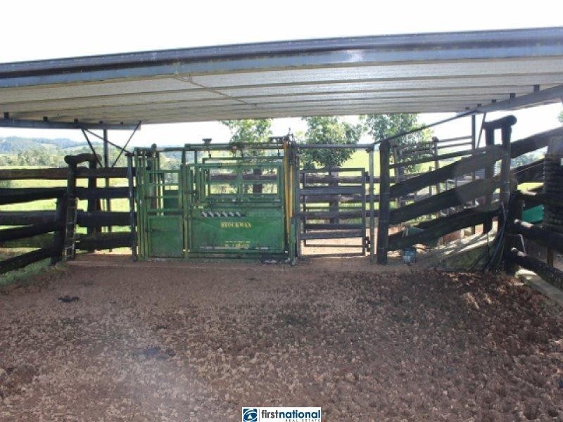 210 Pheasant Road, Millaa Millaa QLD 4886