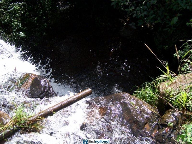 210 Pheasant Road, Millaa Millaa QLD 4886