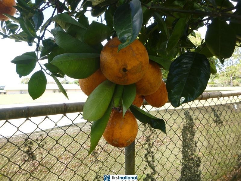 33 Main Street, Tolga QLD 4882