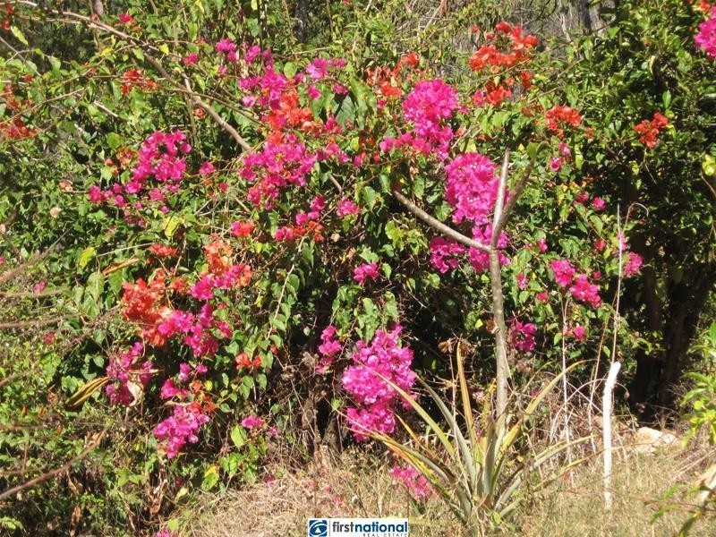 12 Herbert Street, Herberton QLD 4887