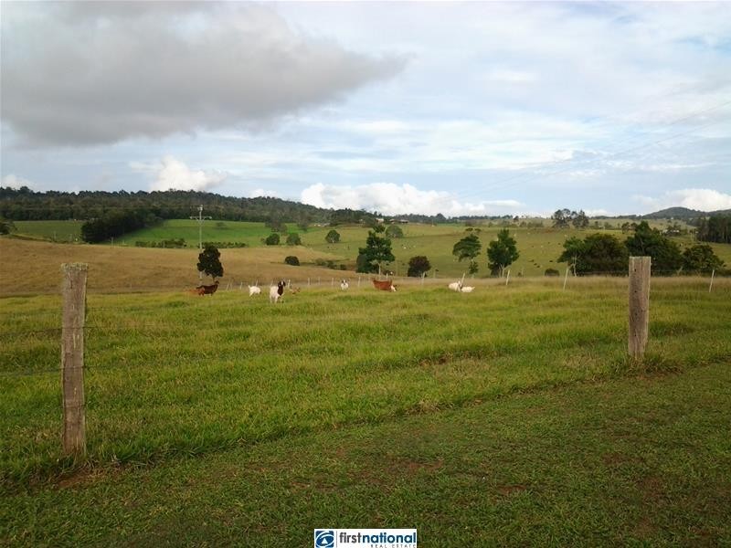 Yungaburra QLD 4884
