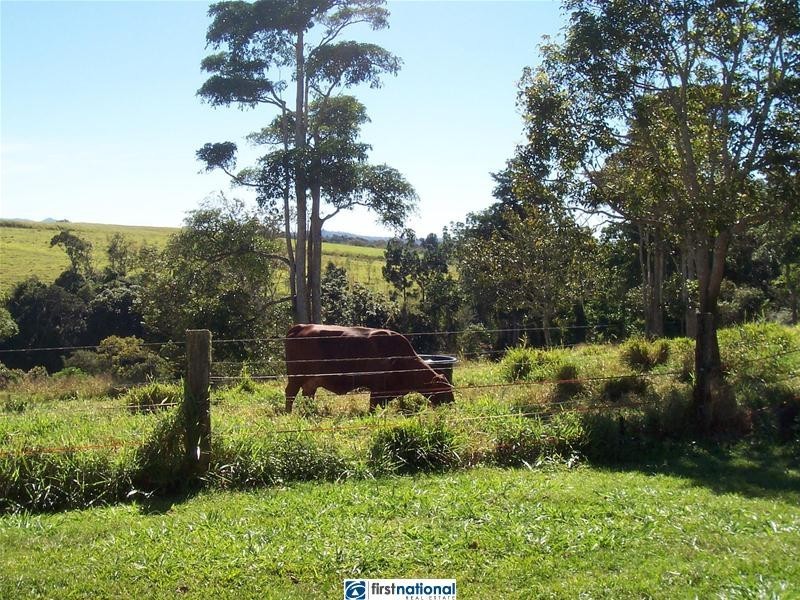 125 Pinnacle Pocket Road, East Barron QLD 4883