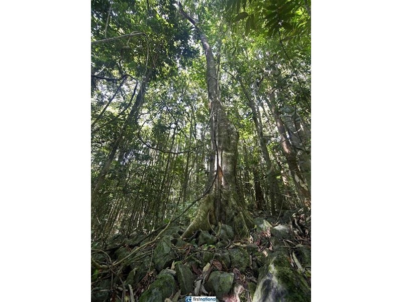 201/ Davies Road, Malanda QLD 4885