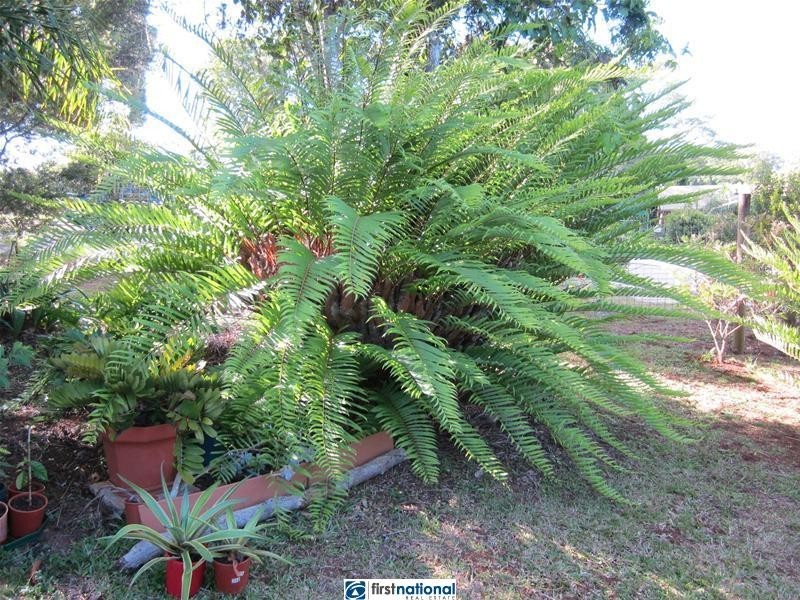 30 Mary Street, Malanda QLD 4885