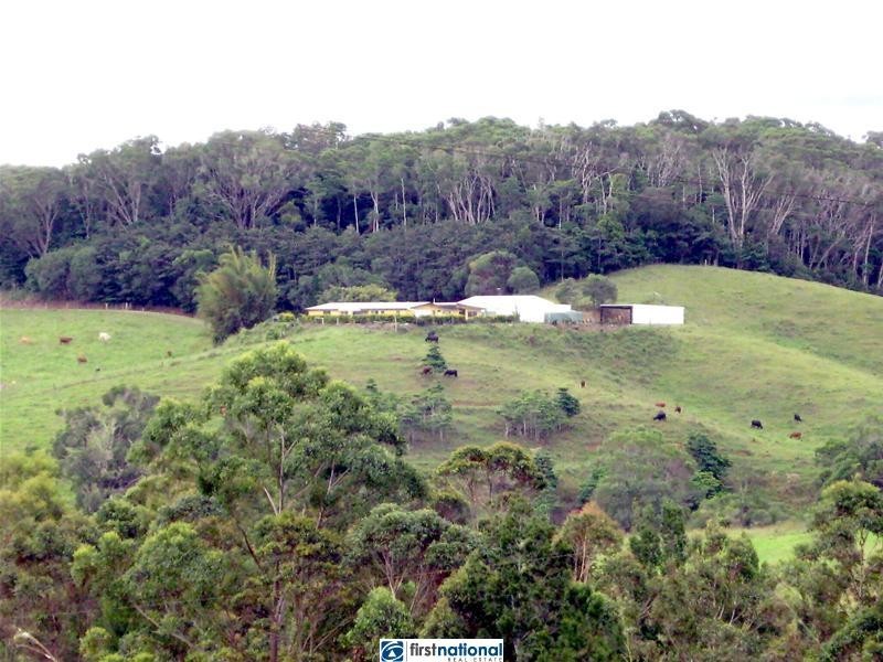 Yungaburra QLD 4884