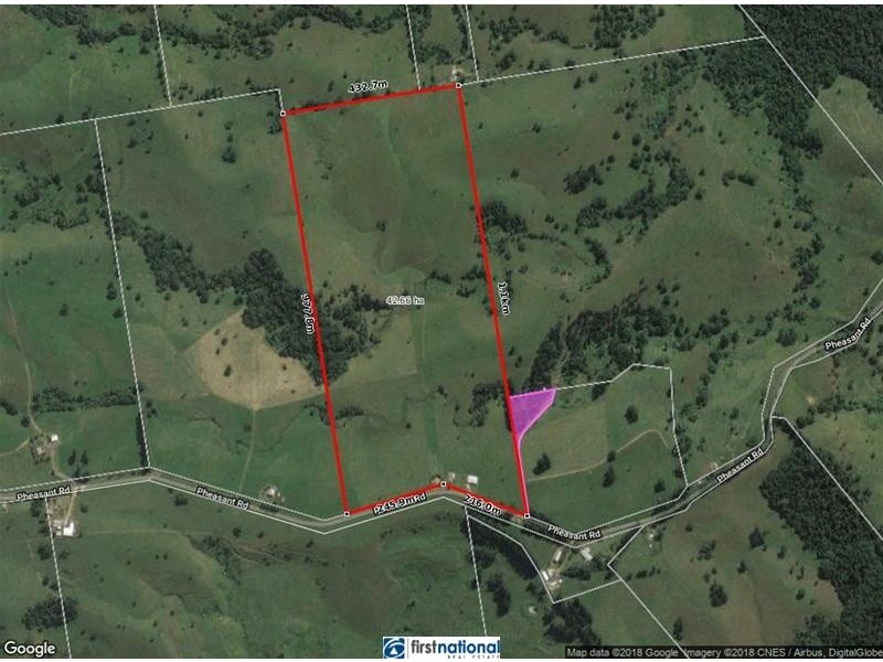 210 Pheasant Road, Millaa Millaa QLD 4886