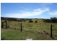 210 Pheasant Road, Millaa Millaa QLD 4886