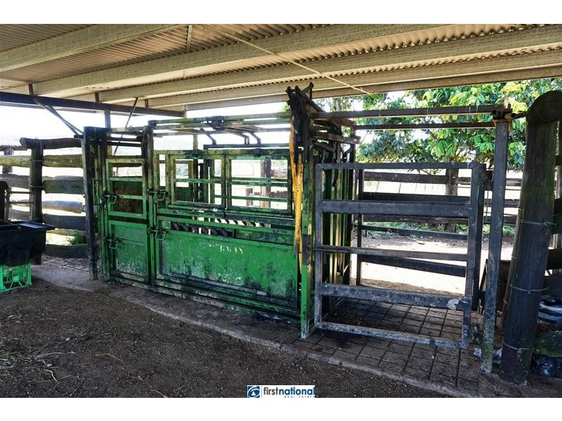 210 Pheasant Road, Millaa Millaa QLD 4886