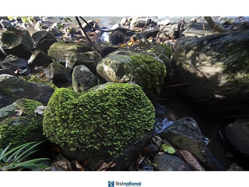 9 Rosewood Close, Malanda QLD 4885