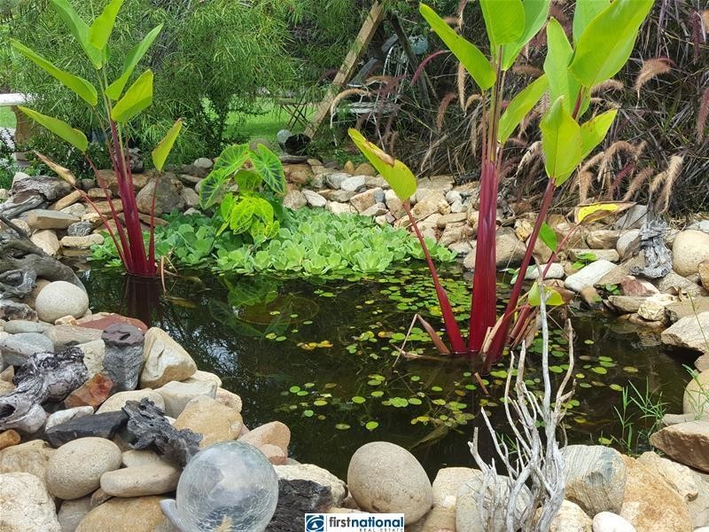 31 Quinlan Road, Tolga QLD 4882