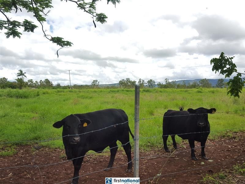 31 Quinlan Road, Tolga QLD 4882