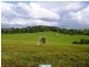 Yungaburra QLD 4884