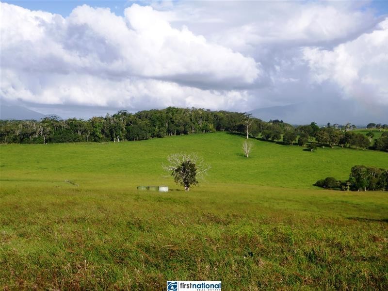 Yungaburra QLD 4884