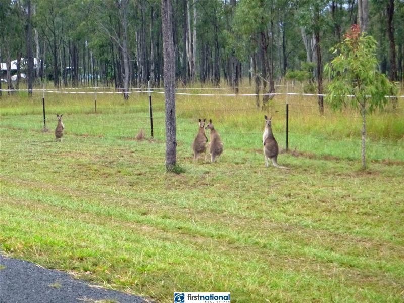 Lot L686, 98 Jacaranda Drive, Ravenshoe QLD 4888