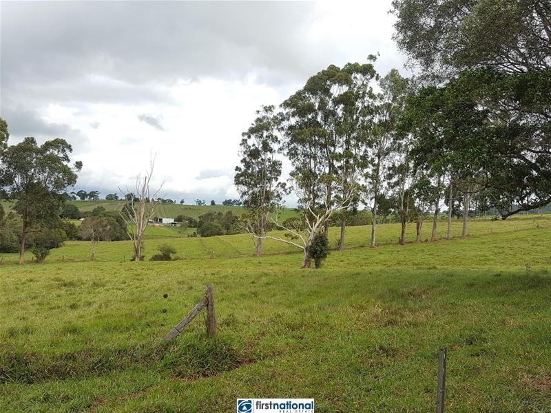Yungaburra QLD 4884