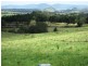 Yungaburra QLD 4884