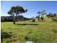 Millaa Millaa QLD 4886