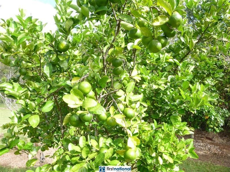 14 Rankine Drive, Tolga QLD 4882