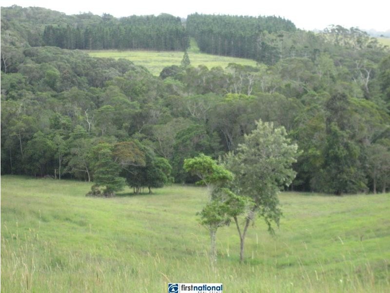 Yungaburra QLD 4884