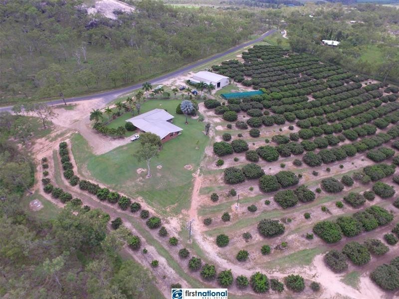 Paddys Green QLD 4880