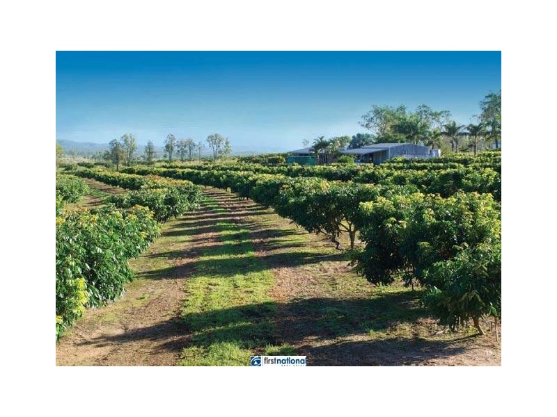 Paddys Green QLD 4880